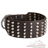 קולר משובץ לכלב במבנה רחב